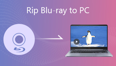 Blu‑ray auf PC rippen