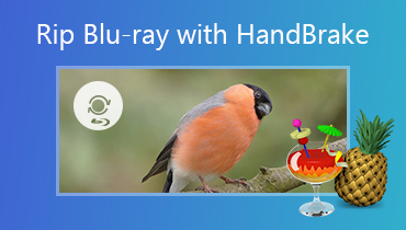 Blu-ray-Discs mit HandBrake rippen