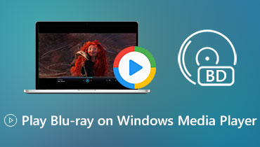 Blu-ray mit Windows Media Player abspielen