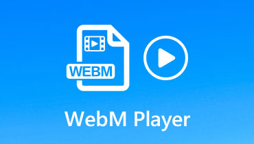 WebM-Player