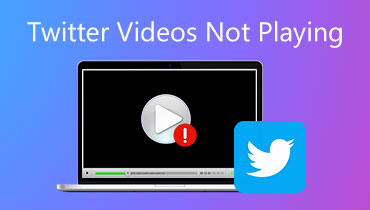 Twitter‑Videos werden nicht abgespielt