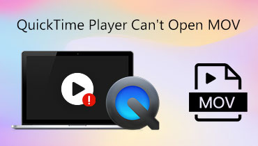 QuickTime Player kann MOV nicht öffnen