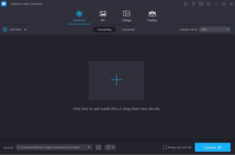 Vidmore Video Converter Oberfläche