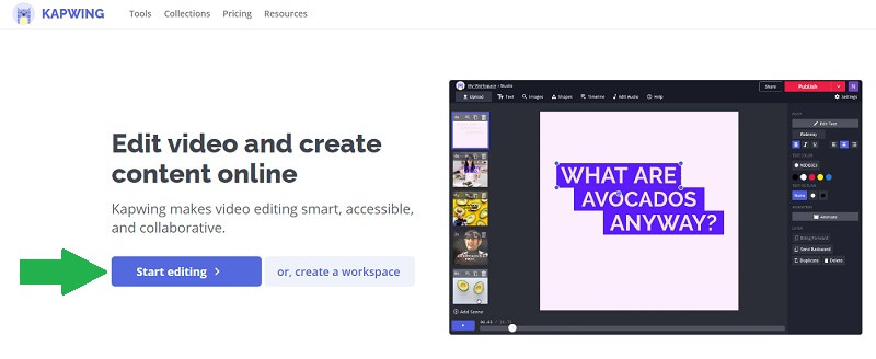 Kapwing Website-Oberfläche