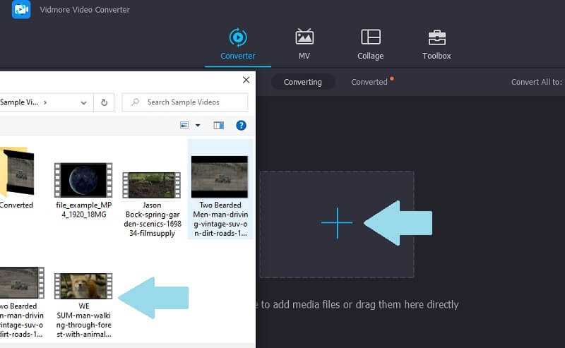 Vidmore VC – Video importieren