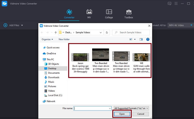 Vidmore VC – MP4‑Datei importieren