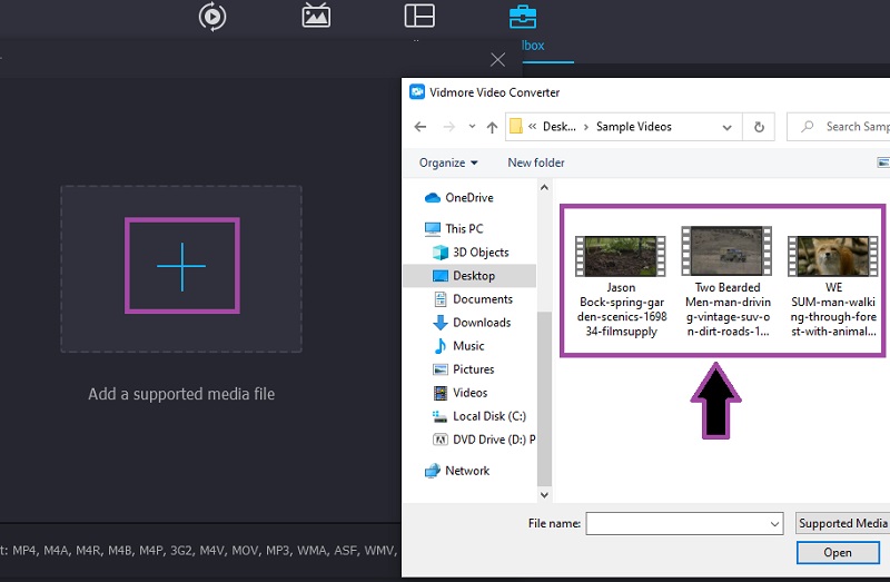 Vidmore VC Videodatei auswählen