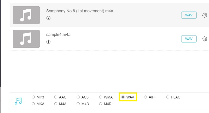 Vidmore Foac Format auswählen M4A zu WAV