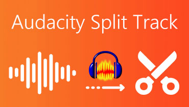 Audacity Spur teilen S