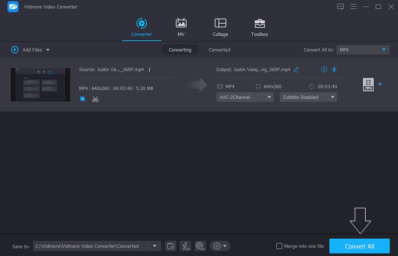 Aufgenommene Datei in Vidmore konvertieren
