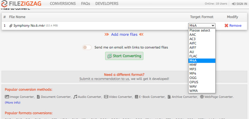 Filezigzag Konvertierungsoberfläche