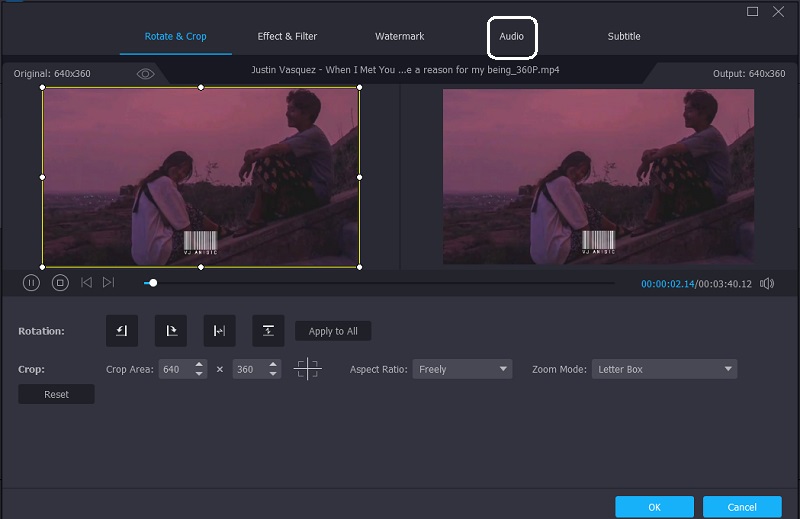 Zu den Audioeinstellungen in Vidmore gehen