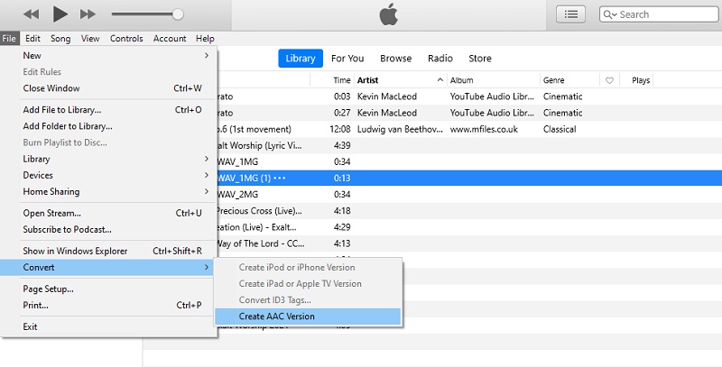 iTunes WMA-Datei in M4A umwandeln