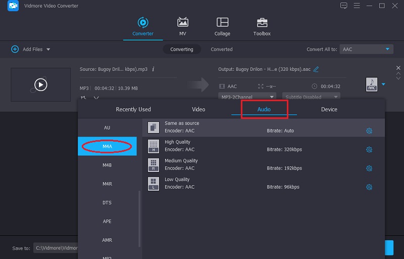 Vidmore Format wählen