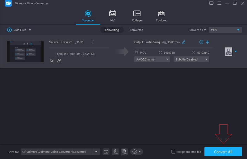 Vidmore MOV-Datei konvertieren