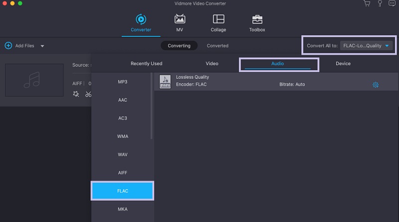 Vidmore MAC Ausgabeformat wählen