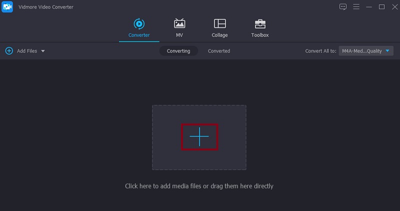 Vidmore VC M4B-Datei laden