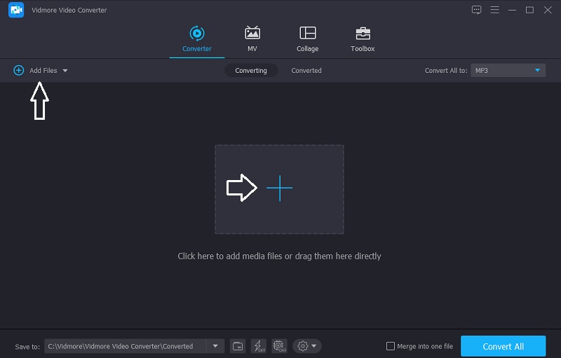 Audio mit Vidmore hinzufügen