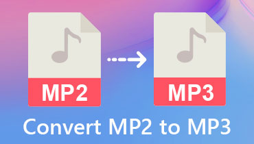 MP2 zu MP3