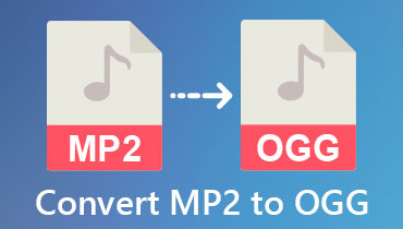 MP2 zu OGG