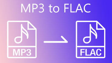 MP3 zu FLAC