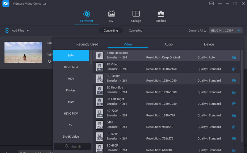 Vidmore-Funktion Videoformate