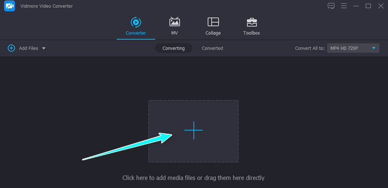 Vidmore FLAC-Audio laden