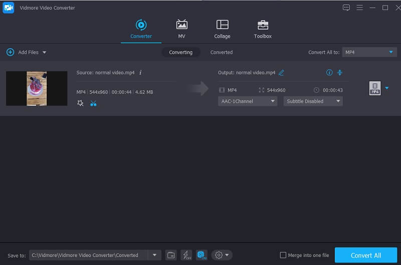 Gekürztes Video mit Vidmore konvertieren