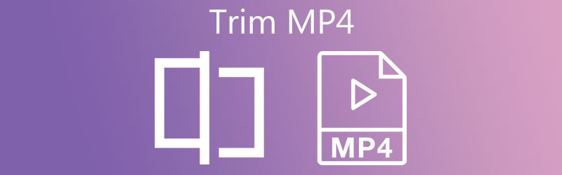 MP4 TRIMMEN