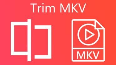 Die MKV-Datei trimmen