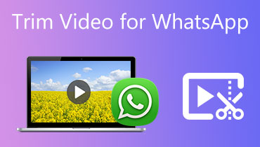Video für WhatsApp zuschneiden