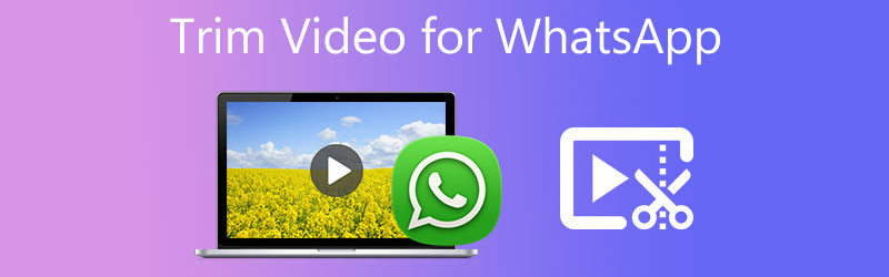 Video für WhatsApp zuschneiden