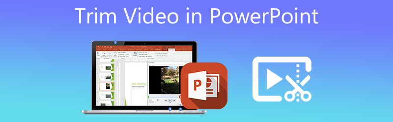 Video in PowerPoint trimmen