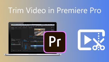 Video in Premiere Pro trimmen