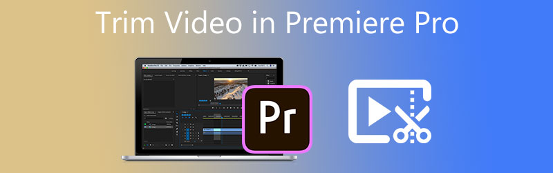 Video in Premiere Pro trimmen