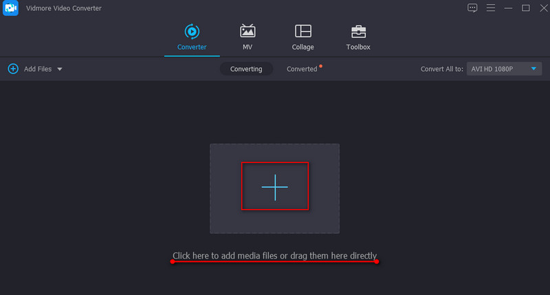 Vidmore AVI-Datei hinzufügen