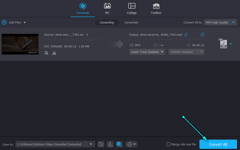 Vidmore Video in Audio konvertieren