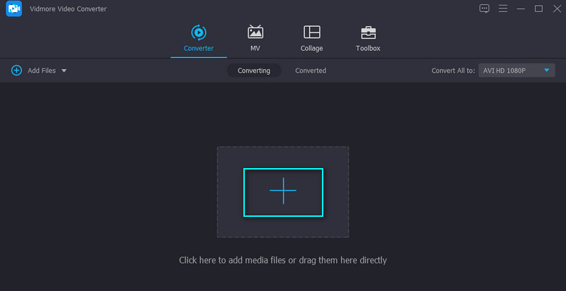 Vidmore AVI‑Video importieren
