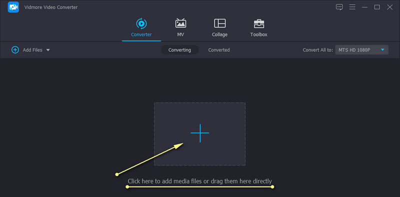 Vidmore MPEG importieren