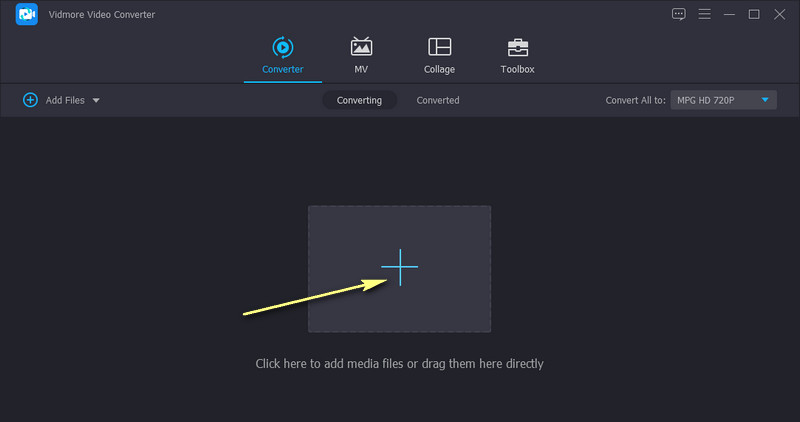 Vidmore MPG importieren