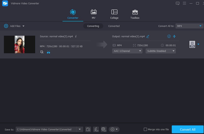 Videos konvertieren Vidmore