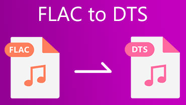 FLAC zu DTS