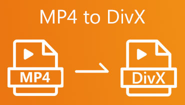 MP4 in DIVX