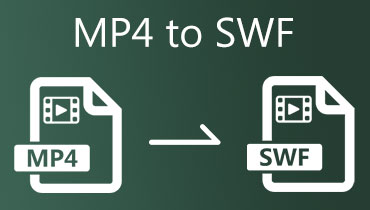 MP4 in SWF