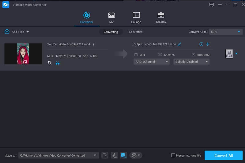 Video speichern Vidmore