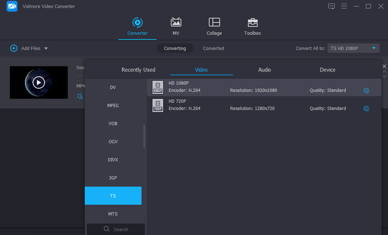 Format auswählen Vidmore