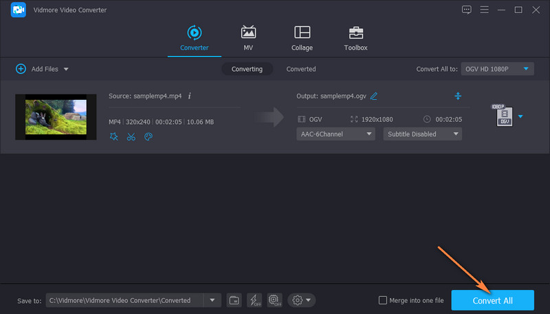 Konvertierung mit Vidmore starten