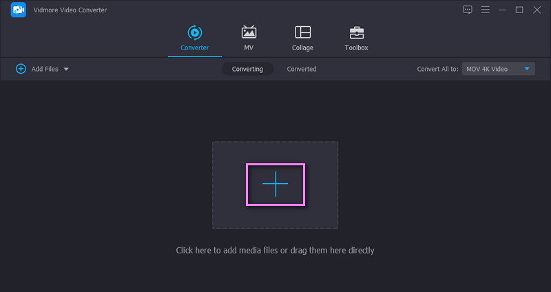 Vidmore Dateien hinzufügen