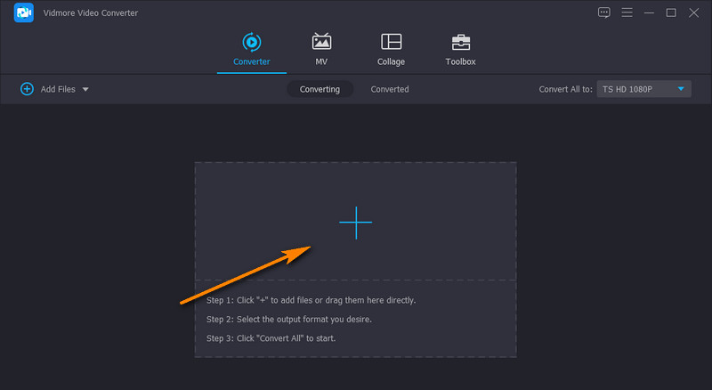 Vidmore MP4-Datei importieren
