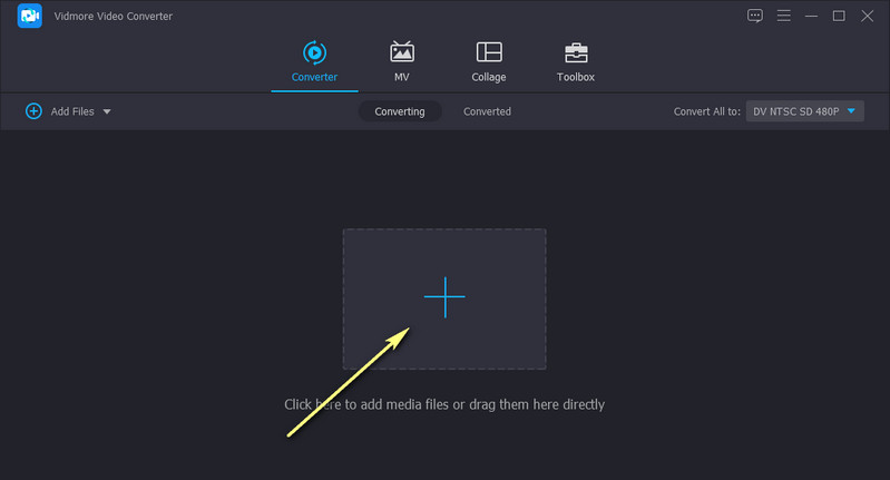 Vidmore MP4 importieren